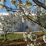 Il Giardino Dei Ciliegi -