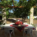Il Giardino Dei Ciliegi -