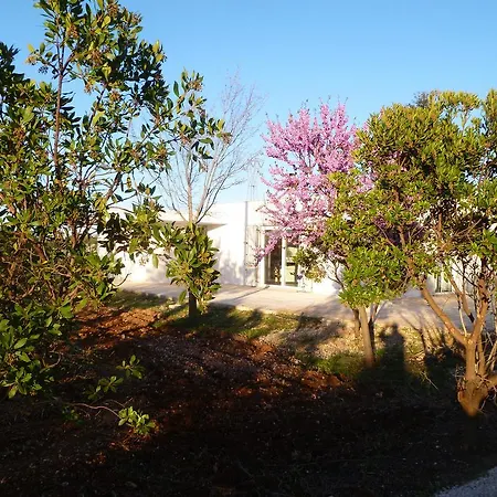 Bed & Breakfast Il Giardino Dei Ciliegi - Turi