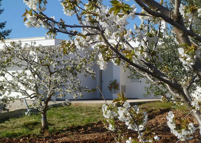 Il Giardino Dei Ciliegi -